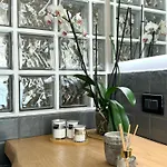 דירה Bricks House